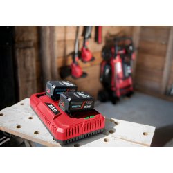 OPLADER &amp; 2 stk 4Ah